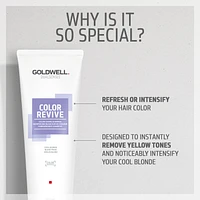 GOLDWELL Dualsenses Color Revive Cool Blonde Shampoo