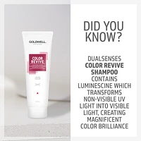 GOLDWELL Dualsenses Color Revive Cool Red Shampoo