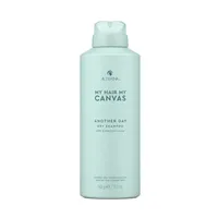 ALTERNA My Hair My Canvas Another Day Dry Shampoo