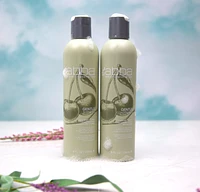 CLEARANCE ABBA Gentle Shampoo