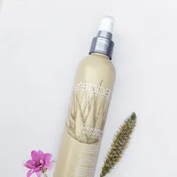 ABBA Preserving Blow Dry Spray