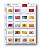 Print-File 2x2-20B Slide Pages - Pack of 100