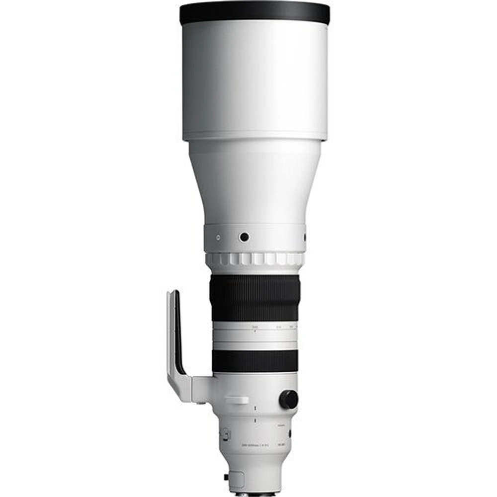 Sigma 300-600mm f4 DG OS Sports