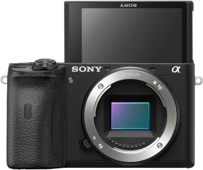 Sony A6600 Premium E-Mount APS-C Camera - Body Only - Black