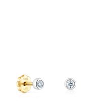 Yellow and White Gold TOUS Diamonds earrings