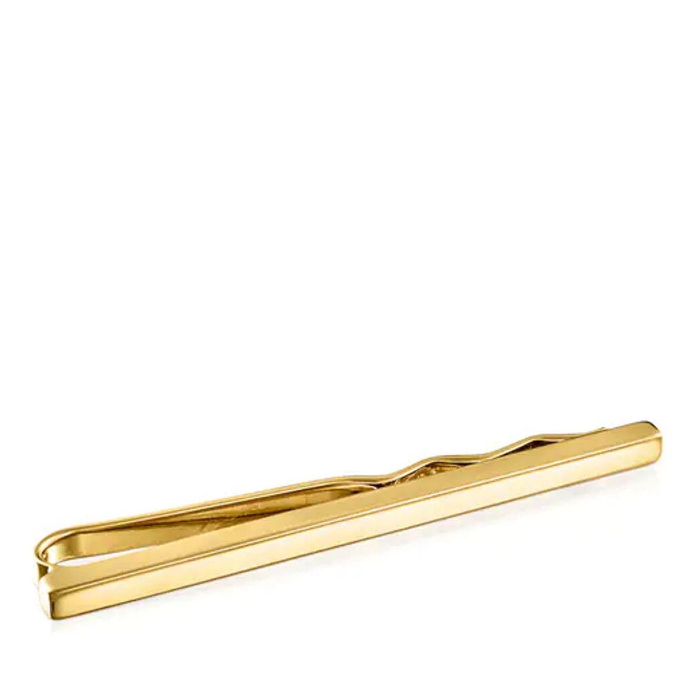 Vermeil Silver Lio Tie pin