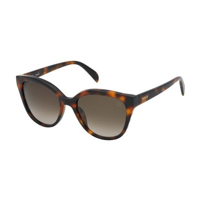 Havana colored Glory Bear Sunglasses