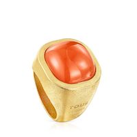 Silver vermeil Nattfall Ring with carnelian