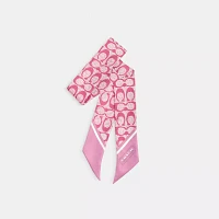 Textured Signature Print Silk Skinny Scarf