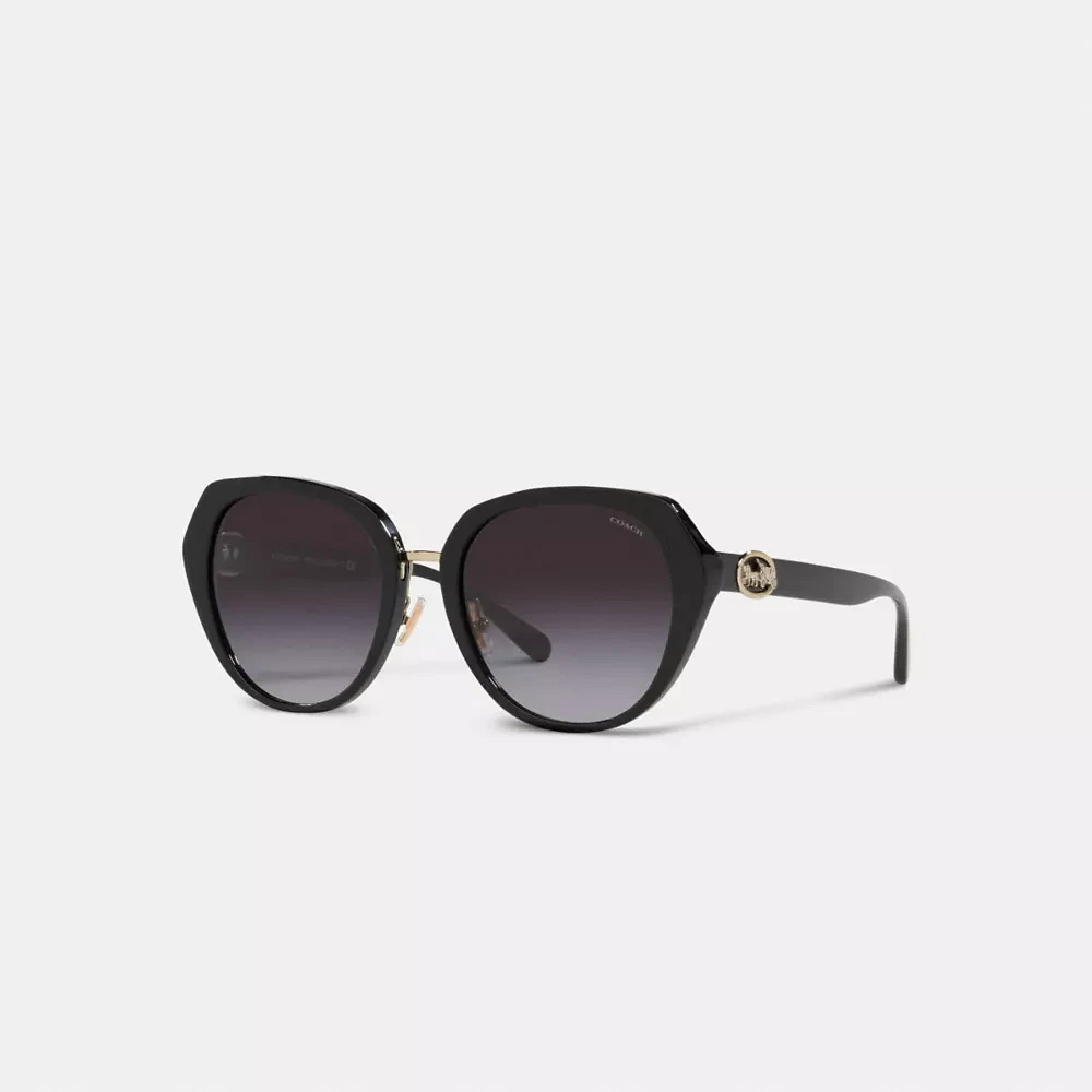 Horse And Carriage Oversized Round Sunglasses