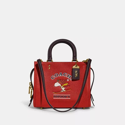 Rogue Bag 25 With Patchwork