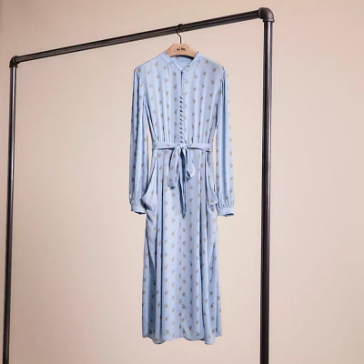 Restored Printed Long Sleeve Dress