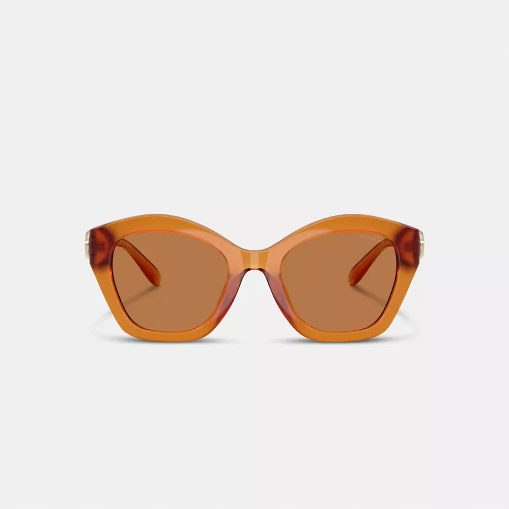 Maxi Sculpted C Oversized Geometric Sunglasses