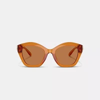 Maxi Sculpted C Oversized Geometric Sunglasses