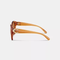 Maxi Sculpted C Oversized Geometric Sunglasses