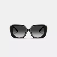 Maxi Sculpted C Oversized Square Sunglasses
