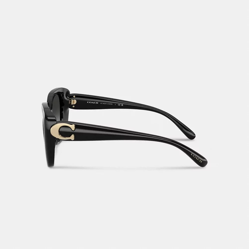 Maxi Sculpted C Oversized Square Sunglasses