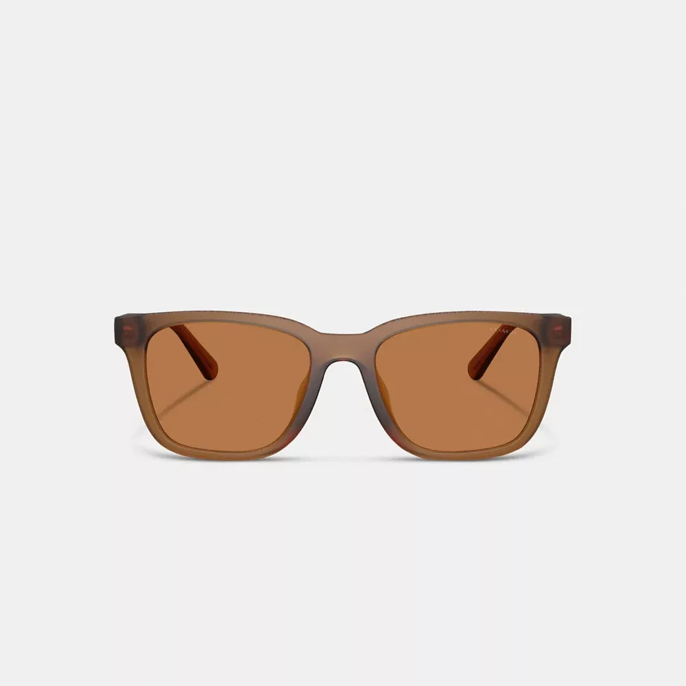 C Hardware Textured Temple Square Sunglasses