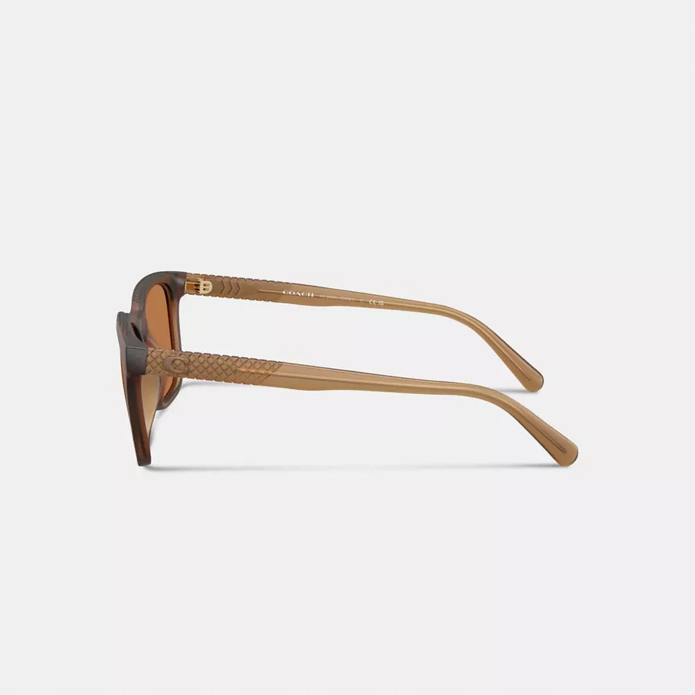 C Hardware Textured Temple Square Sunglasses