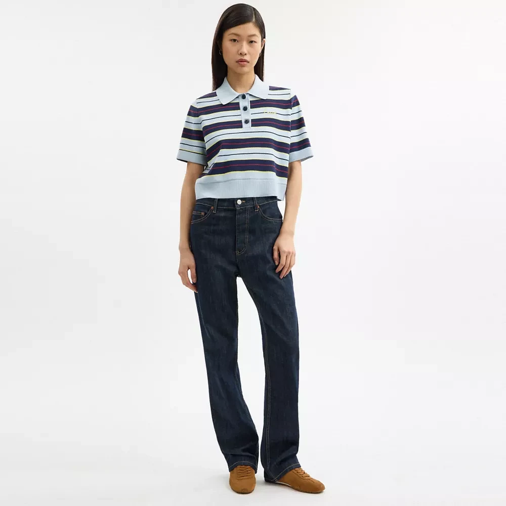 Cropped Stripe Polo