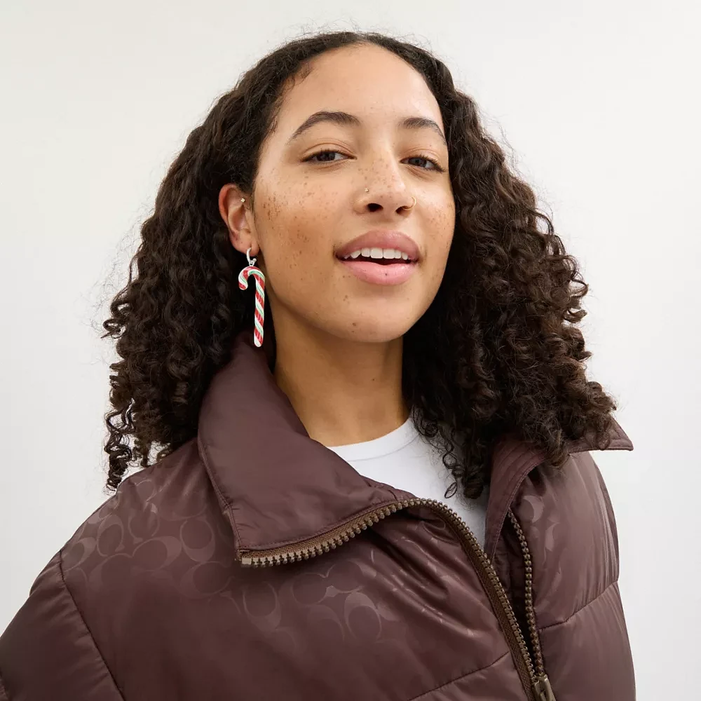 Candy Cane Earring