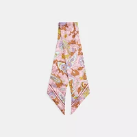 Soho Paisley Print Silk Skinny Scarf