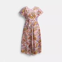 Paisley Dress
