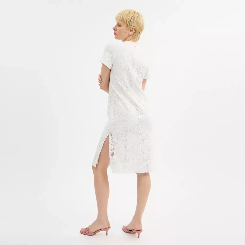 Lace T Shirt Dress