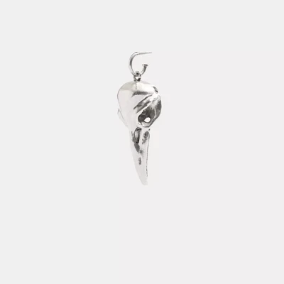 Bird Skull Single Earring
