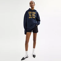 Horse And Carriage Hoodie