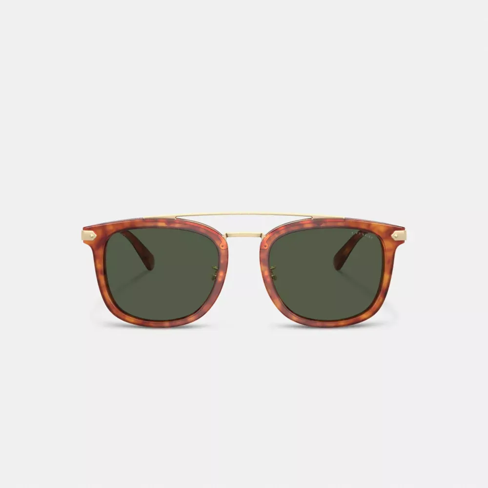 Wrap Around Hangtag Browbar Sunglasses