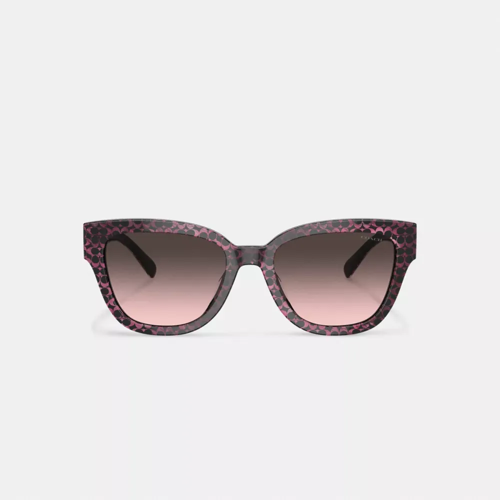 Signature Round Sunglasses