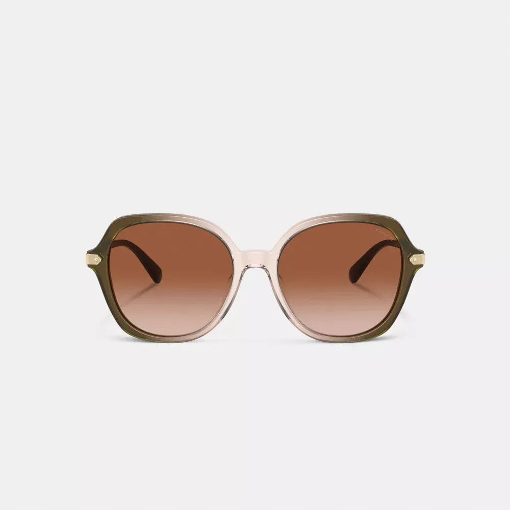 Wrap Around Hangtag Oversized Geometric Round Sunglasses