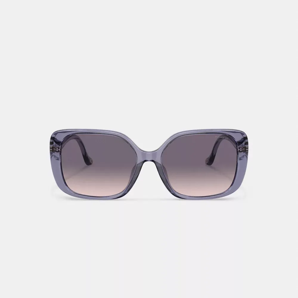 Swoop Temple Rectangle Sunglasses