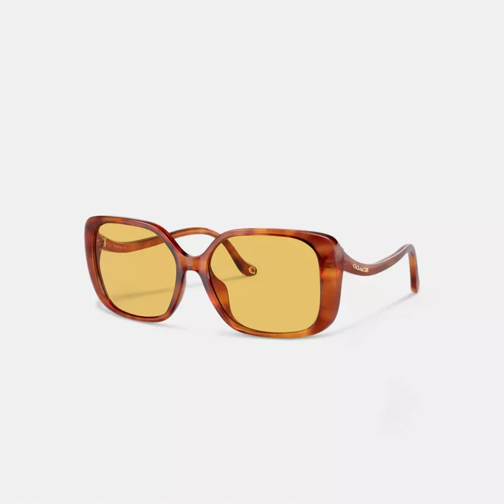 Swoop Temple Rectangle Sunglasses