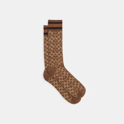 Signature Calf Socks