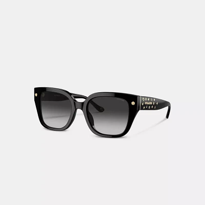 Charms Oversized Square Sunglasses