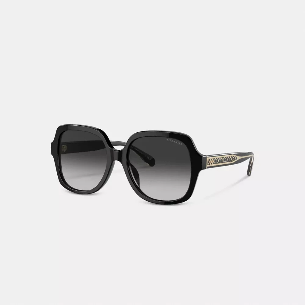 Signature Ombré Oversized Square Sunglasses