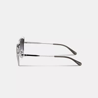 Bandit Wire Oval Sunglasses