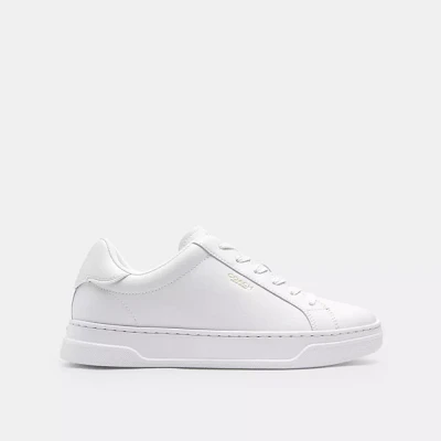Coach X Peanuts High Line Sneaker Signature Canvas With Snoopy Print