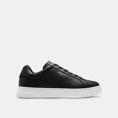 High Line Sneaker With Sketch Print