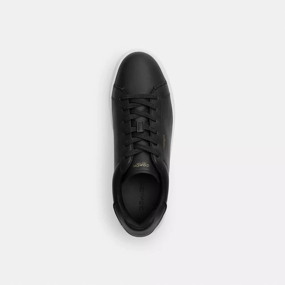 High Line Sneaker With Sketch Print