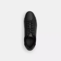 High Line Sneaker With Sketch Print