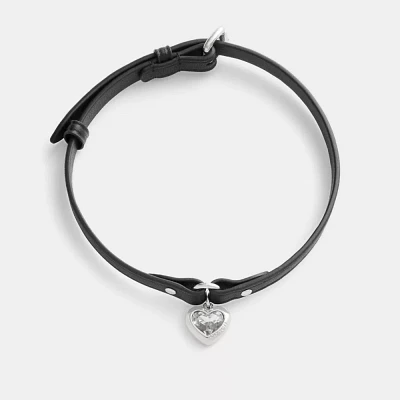 Heart Charm Leather Choker 