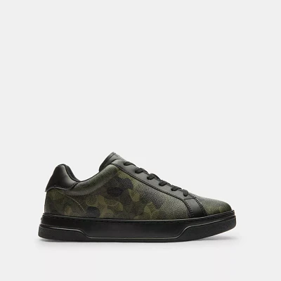 High Line Sneaker With Sketch Print