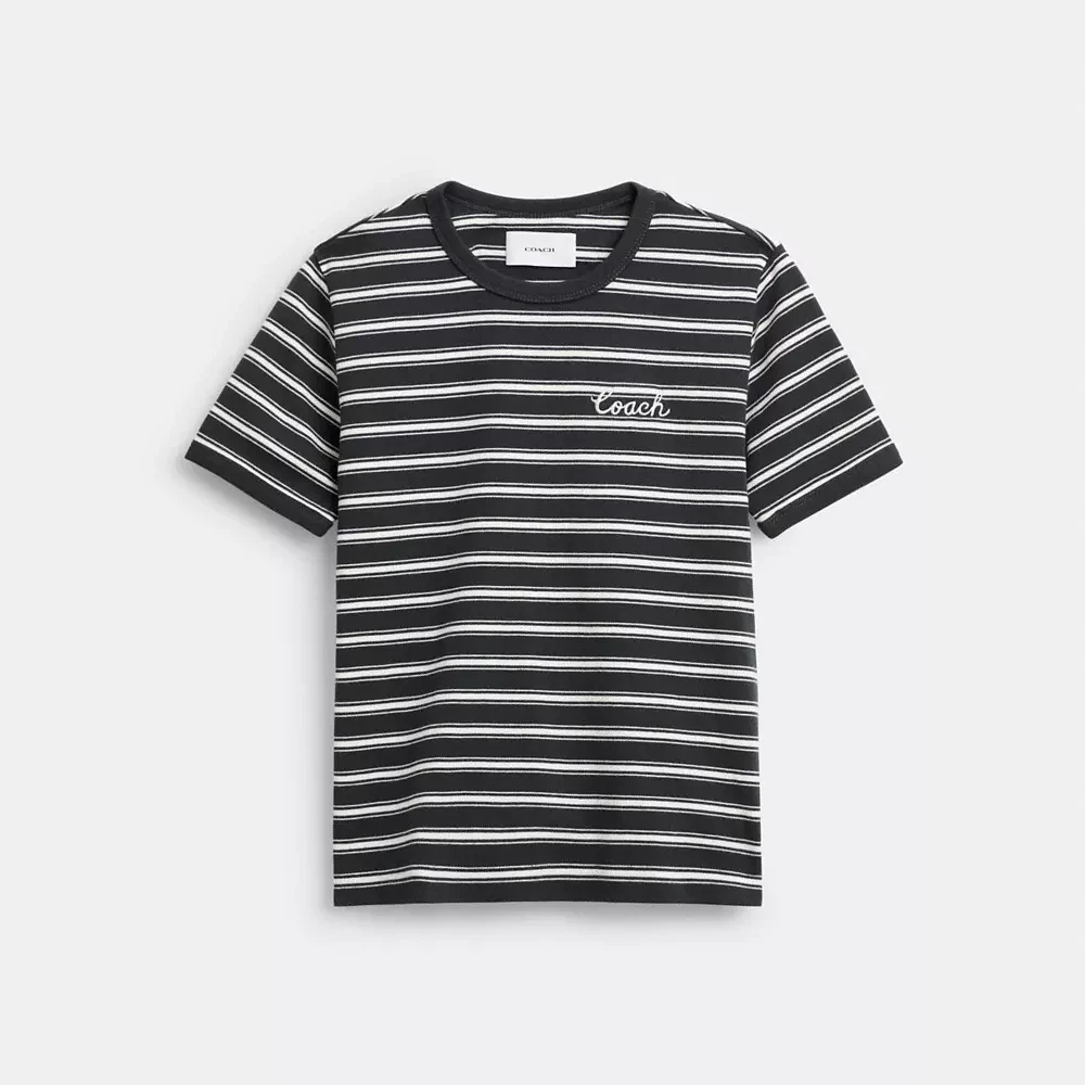 Striped Signature Ringer T Shirt Organic Cotton
