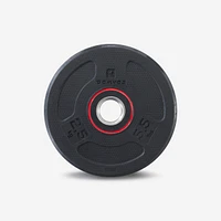 2.5 kg (5.5 lb) Rubber Weight Plate