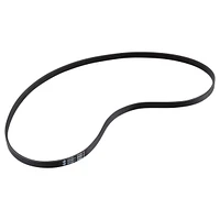 Drive Belt