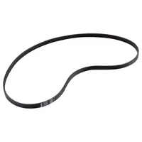 Exercise Machine Drive Belt