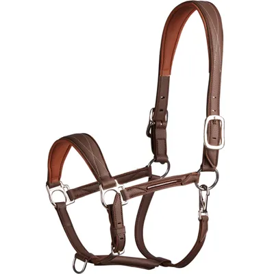 Horse & Pony Riding Synthetic Leather Halter